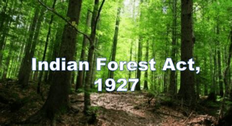 indian forest Search